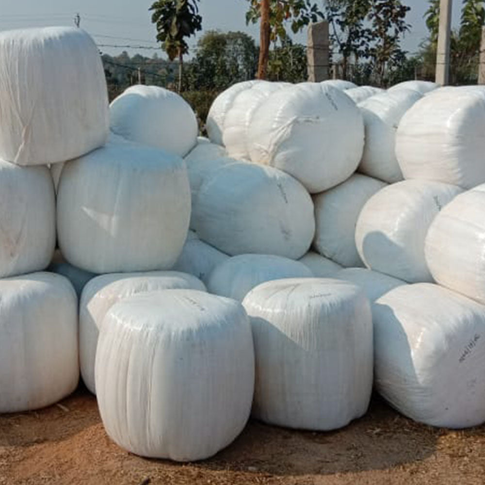 NutriRich Corn Silage (Small Bales) 100KG