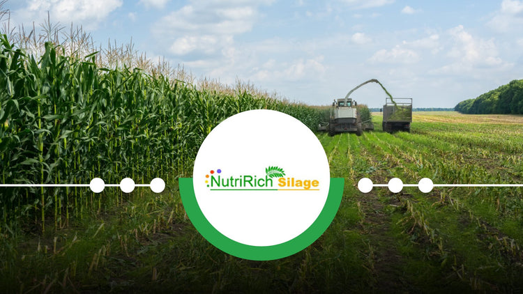 NutriRich Silage